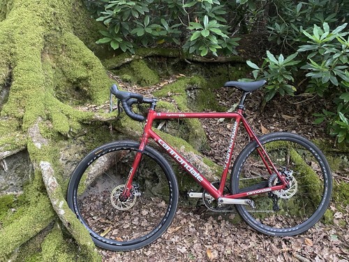 Bicicletta strada - bicicletta,